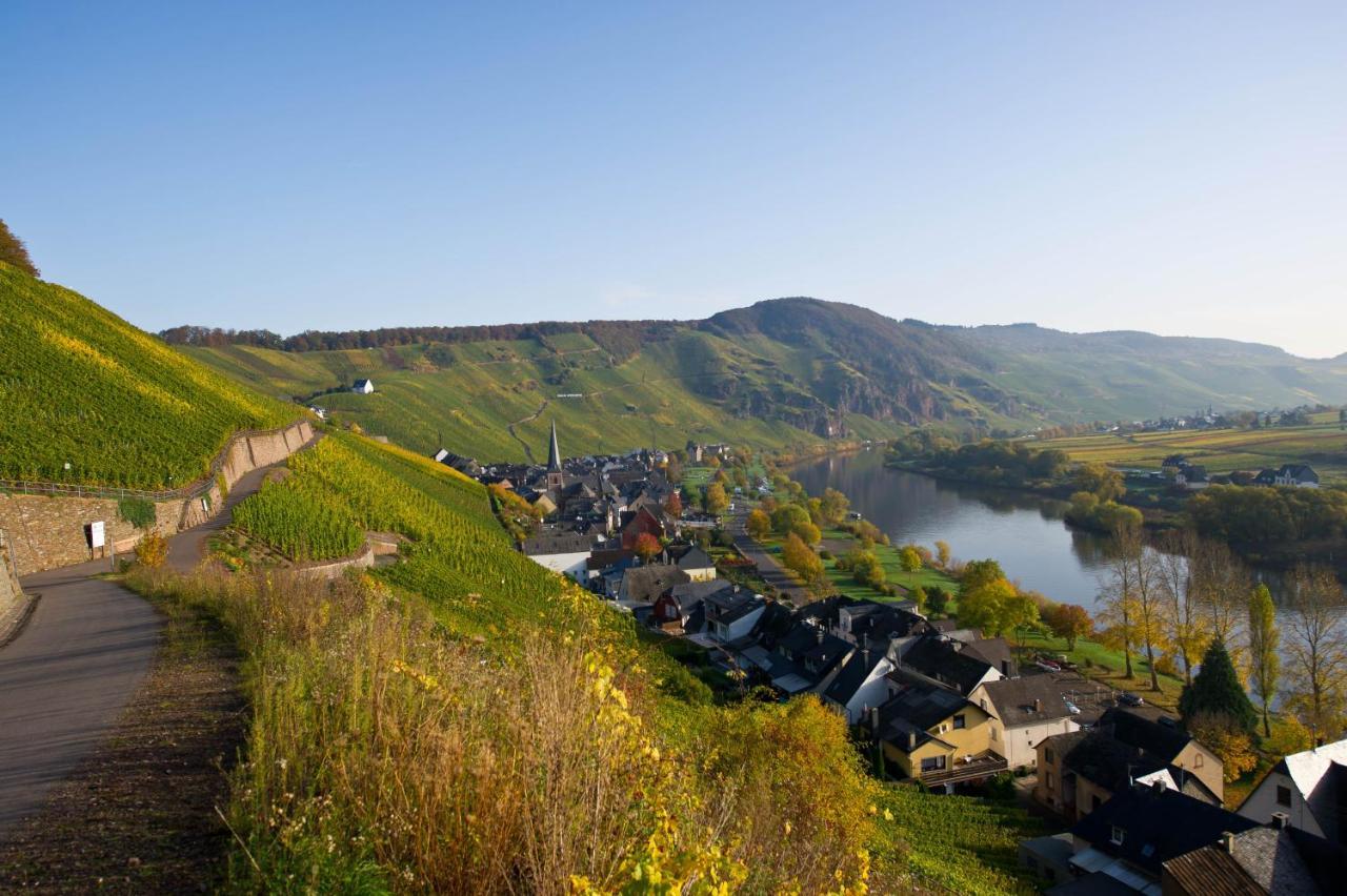 Gaestehaus C.H.Berres Uerzig-Mosel Екстериор снимка